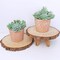 11PCS Mini Artificial Succulent Picks – Flocked Faux Succulents Assortment for Mother’s Day Card Making, DIY Crafts, Wreaths, Terrariums & Home Decor